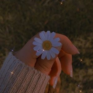 Meet your Posher, Maddie